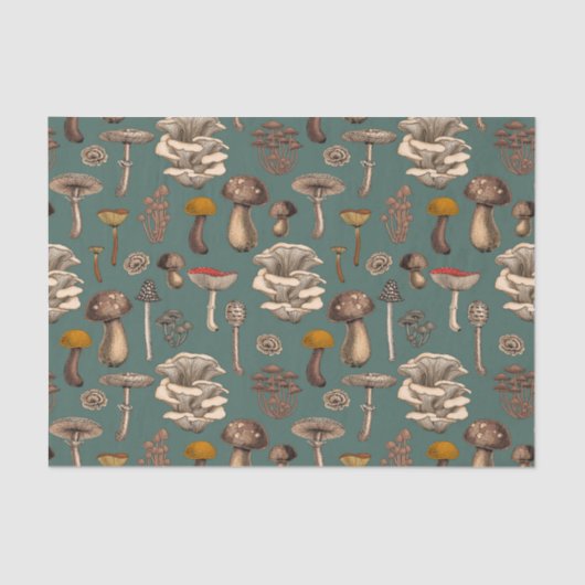 Papier Mousseline Wild Mushrooms (Recto)