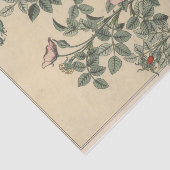 Papier Mousseline Wild Rose, Eugene Grasset's Botany Series (Détail)