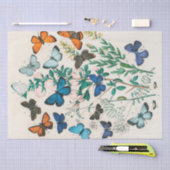 Papier Mousseline William Kirby | Papillons et papillons ... (Artisanat)