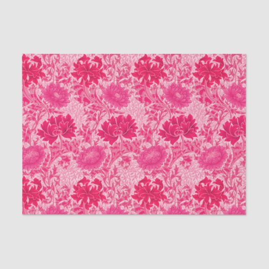 Papier Mousseline William Morris Chrysanthemums, Fuchsia Pink (Recto)