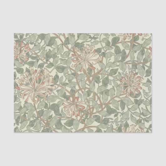 Papier Mousseline William Morris Honeysuckle Vert Floral (Recto)