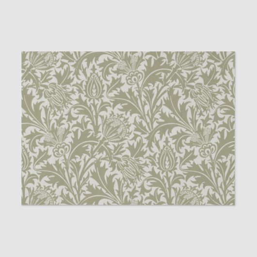 Papier Mousseline William Morris Thistle Sage Green Motif (Recto)