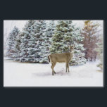 Papier Mousseline Winter Wonderland Forest avec Deer Christmas Craft<br><div class="desc">Créez des artisanats de découpage uniques avec ce papier de papier de tissu de la nature et de la nature hivernale des merveilles. Ce dessin en papier présente une scène de neige hivernale de pins dans la forêt et un cerf de Virginie.</div>
