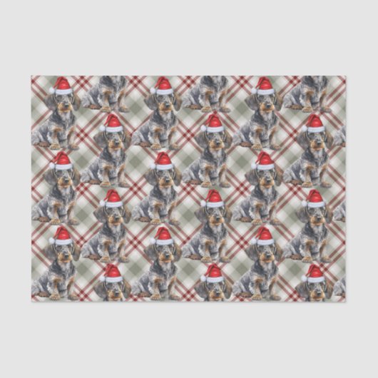 Papier Mousseline Wire Haired Dachshund Santa Dog Plaid Christmas (Recto)