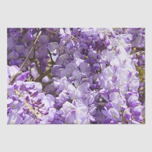 Papier Mousseline Wisteria Violet Floral Blossom Tree Violet