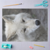 Papier Mousseline Wolf_015 (Artisanat)