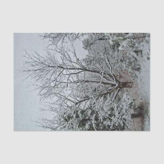 Papier Mousseline Wonderland (Recto)