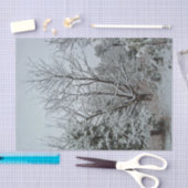 Papier Mousseline Wonderland (Artisanat)