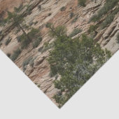 Papier Mousseline Worn Rock Walls dans le Parc national de Sion (Détail)