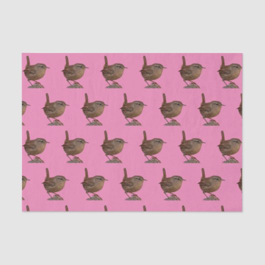 Papier Mousseline Wren (Recto)