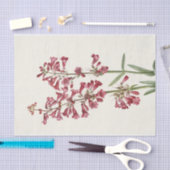 Papier Mousseline Wright Pentstemon par Mary Vaux Walcott (Artisanat)