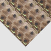 Papier Mousseline yeux crème dachshund (Détail)