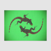 Yin Yang Lizards