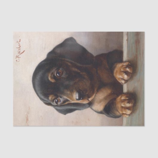 Papier Mousseline Young Dachshund par Carl Reichert (Recto)
