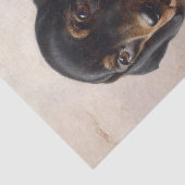 Papier Mousseline Young Dachshund par Carl Reichert (Détail)