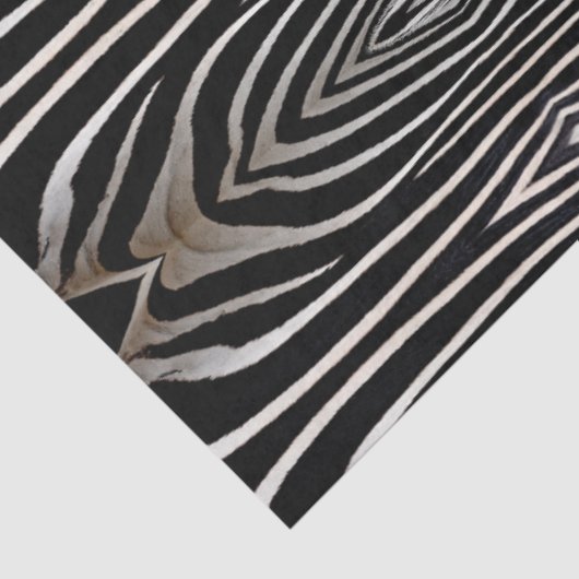 Papier Mousseline Zebra Fur Abstract Design Découpage (Détail)