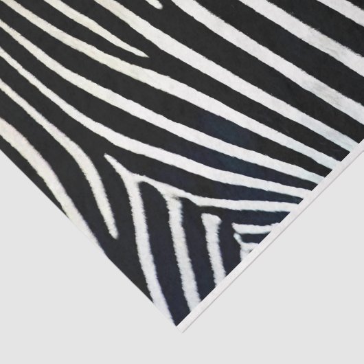 Papier Mousseline Zebra Print Black Fur (Détail)