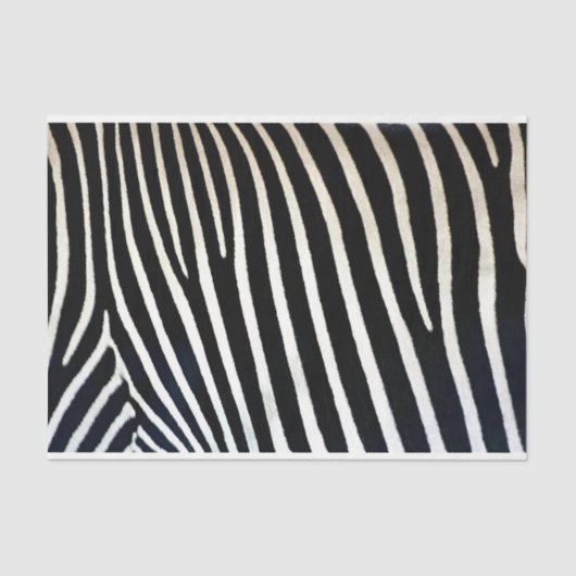 Papier Mousseline Zebra Print Black Fur (Recto)