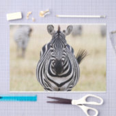 Papier Mousseline Zebra vous regarde (Artisanat)