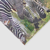 PAPIER MOUSSELINE ZEBRAS (Détail)