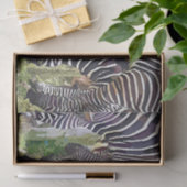 PAPIER MOUSSELINE ZEBRAS (Cadeau)