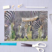 PAPIER MOUSSELINE ZEBRAS (Artisanat)