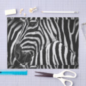 Papier Mousseline Zèbre noir et blanc génial (Artisanat)