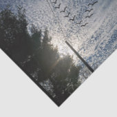 PAPIER MOUSSELINE ZEN (Détail)