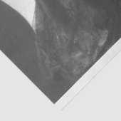 Papier Mousseline Ziegfeld 1920 Follies filles (Détail)