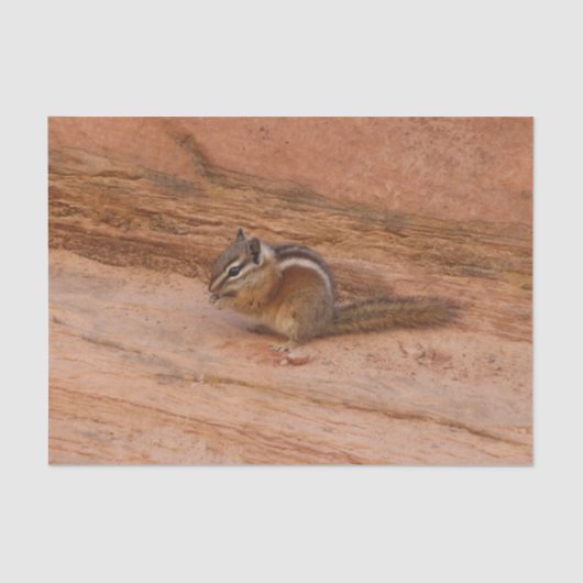 Papier Mousseline Zion Chipmunk sur Red Rocks (Recto)