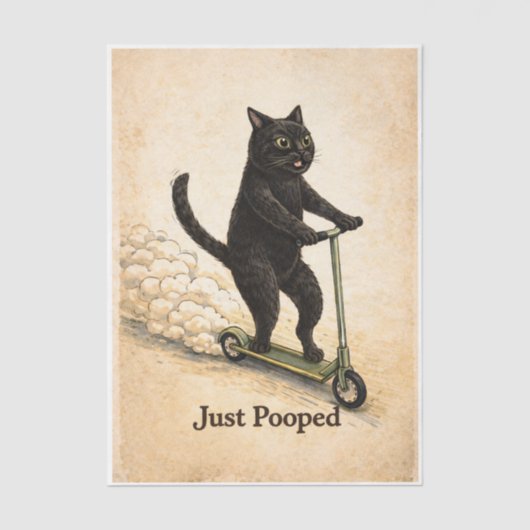 Papier Mousseline Zoomies Kitty  (Recto)