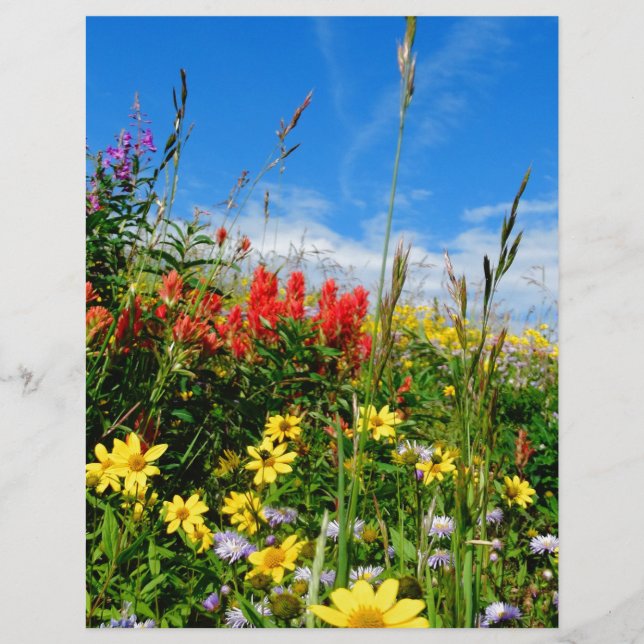 Papier Mt. Fleur sauvage (Devant)