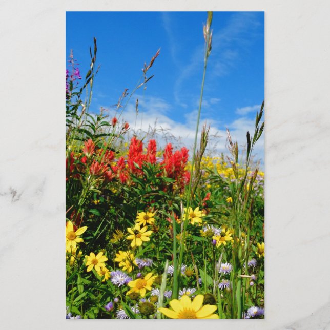 Papier Mt. Fleur sauvage (Devant)