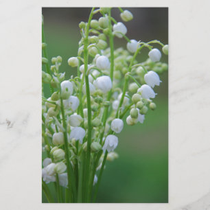 Papier Muguet
