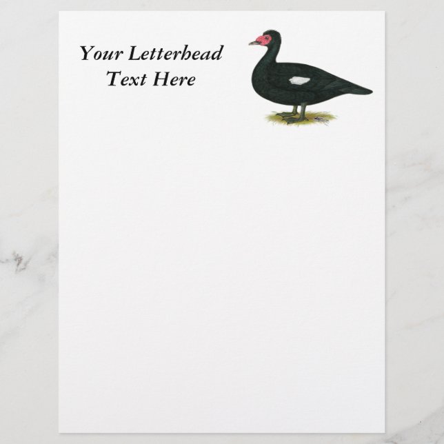 Papier Muscovy Black Drake (Devant)