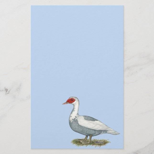 Papier Muscovy Blue pied Duck (Devant)