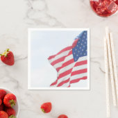 Papier Napkin Servet (Insitu)