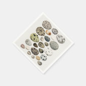 PAPIER NAPKIN :  VOGELEIGENSCHAP SERVET (Hoek)