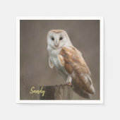 Papier Napkins, Owl Servet (Voorkant)