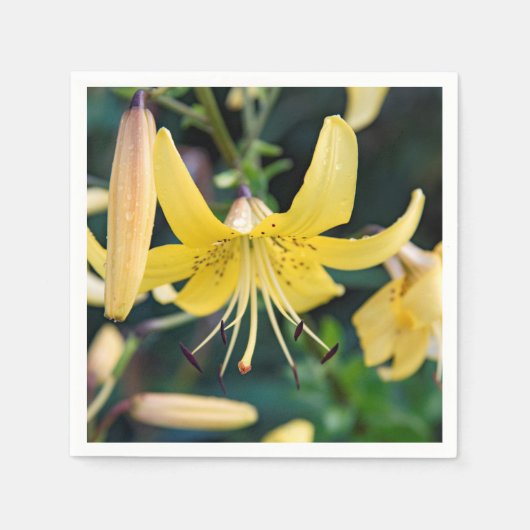 Papier Napkins Servet (Voorkant)