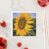 Papier Napkins Servet (Insitu)