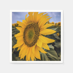 Papier Napkins Servet