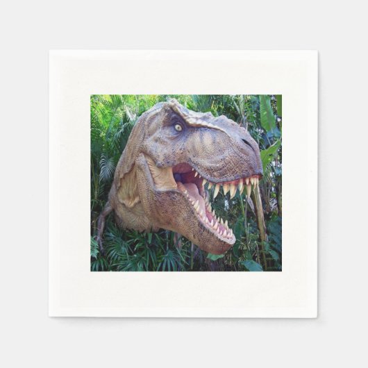 Papier Napkins Servetten (Voorkant)