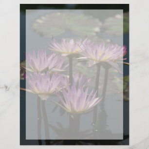 Papier Nénuphars de Lotus pourpres