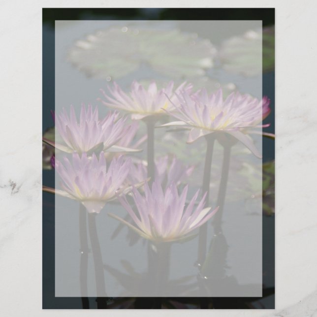 Papier Nénuphars de Lotus pourpres (Devant)