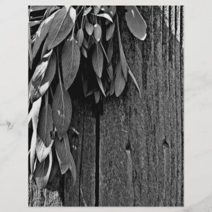 Papier Niveaux de gris en bois de Gris de Grange coupé