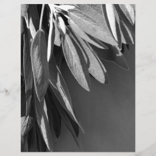Papier Niveaux de gris fraichement coupés