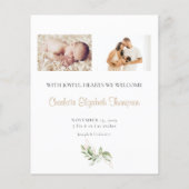 Papier Nouveau bébé Eucalyptus Faire-part de naissance de (Dos)