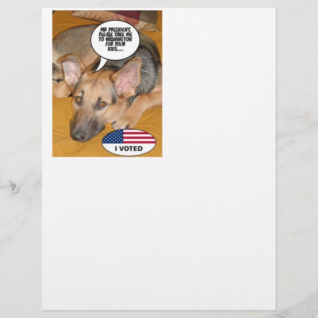 Papier Obama Pet/Whitehouse Humour (Devant)