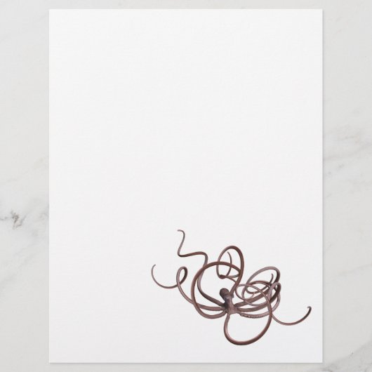 Papier Octopus géant (Devant)